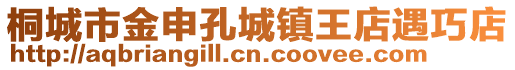 桐城市金申孔城鎮(zhèn)王店遇巧店