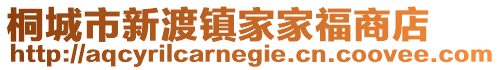 桐城市新渡鎮(zhèn)家家福商店