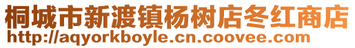 桐城市新渡鎮(zhèn)楊樹店冬紅商店