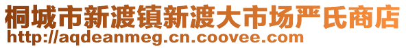 桐城市新渡鎮(zhèn)新渡大市場嚴(yán)氏商店