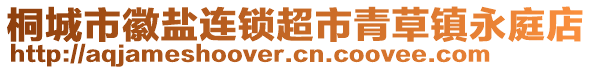 桐城市徽鹽連鎖超市青草鎮(zhèn)永庭店