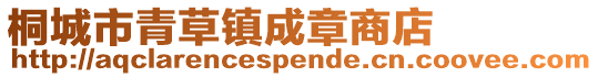 桐城市青草鎮成章商店