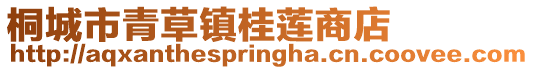 桐城市青草鎮桂蓮商店