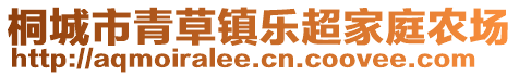桐城市青草鎮(zhèn)樂超家庭農(nóng)場