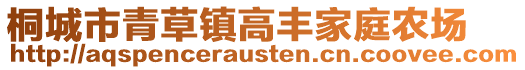 桐城市青草鎮(zhèn)高豐家庭農場