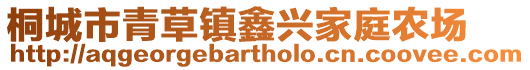 桐城市青草鎮鑫興家庭農場