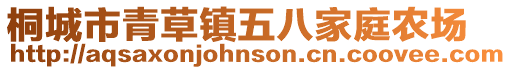 桐城市青草鎮(zhèn)五八家庭農(nóng)場(chǎng)
