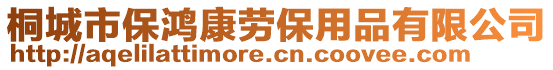 桐城市保鴻康勞保用品有限公司