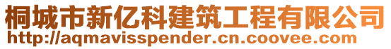 桐城市新億科建筑工程有限公司