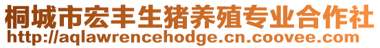 桐城市宏豐生豬養(yǎng)殖專業(yè)合作社