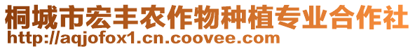 桐城市宏豐農作物種植專業合作社