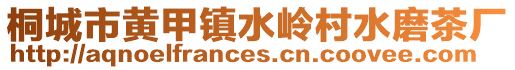 桐城市黃甲鎮(zhèn)水嶺村水磨茶廠
