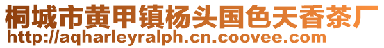 桐城市黃甲鎮(zhèn)楊頭國(guó)色天香茶廠