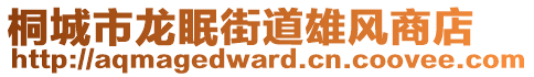 桐城市龍眠街道雄風商店