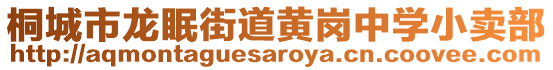 桐城市龍眠街道黃崗中學(xué)小賣部