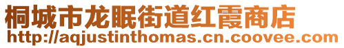 桐城市龍眠街道紅霞商店