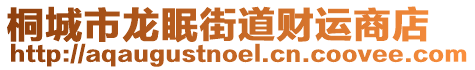 桐城市龍眠街道財運商店