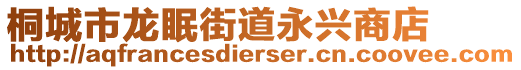 桐城市龍眠街道永興商店