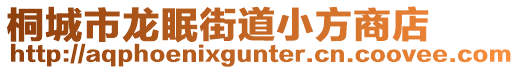 桐城市龍眠街道小方商店