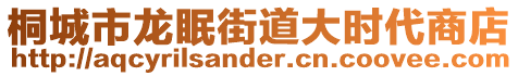 桐城市龍眠街道大時代商店