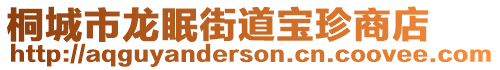 桐城市龍眠街道寶珍商店