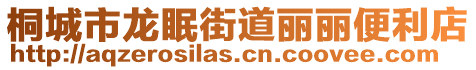 桐城市龍眠街道麗麗便利店