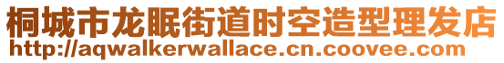 桐城市龍眠街道時空造型理發(fā)店