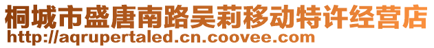 桐城市盛唐南路吳莉移動(dòng)特許經(jīng)營(yíng)店