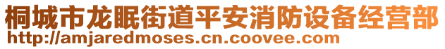 桐城市龙眠街道平安消防设备经营部