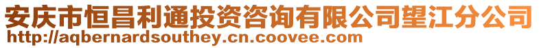 安庆市恒昌利通投资咨询有限公司望江分公司