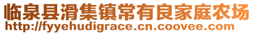 臨泉縣滑集鎮(zhèn)常有良家庭農(nóng)場