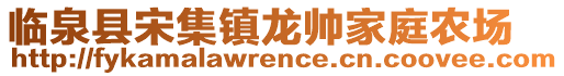 臨泉縣宋集鎮(zhèn)龍帥家庭農(nóng)場(chǎng)