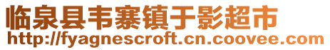 臨泉縣韋寨鎮于影超市
