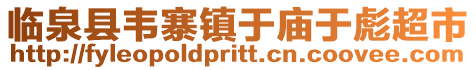 臨泉縣韋寨鎮于廟于彪超市