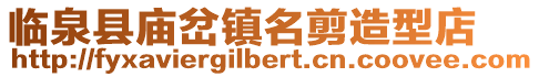 臨泉縣廟岔鎮名剪造型店