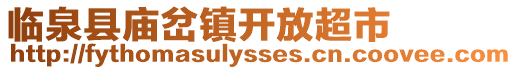 臨泉縣廟岔鎮開放超市