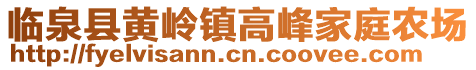臨泉縣黃嶺鎮高峰家庭農場