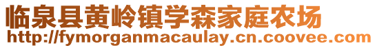 臨泉縣黃嶺鎮學森家庭農場