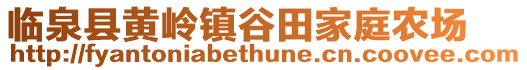 臨泉縣黃嶺鎮谷田家庭農場