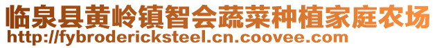 臨泉縣黃嶺鎮(zhèn)智會蔬菜種植家庭農(nóng)場