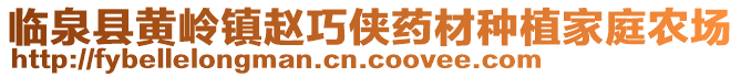 臨泉縣黃嶺鎮趙巧俠藥材種植家庭農場