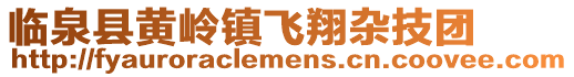 臨泉縣黃嶺鎮飛翔雜技團