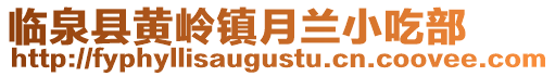 臨泉縣黃嶺鎮(zhèn)月蘭小吃部