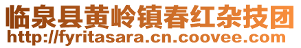 臨泉縣黃嶺鎮(zhèn)春紅雜技團(tuán)