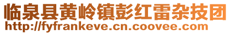 臨泉縣黃嶺鎮彭紅雷雜技團