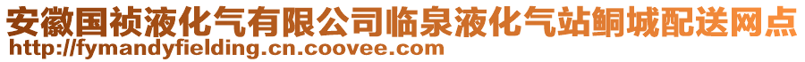 安徽國禎液化氣有限公司臨泉液化氣站鲖城配送網點