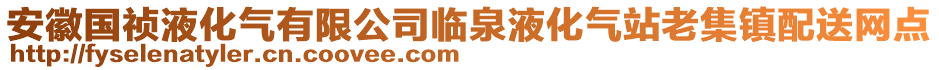 安徽國(guó)禎液化氣有限公司臨泉液化氣站老集鎮(zhèn)配送網(wǎng)點(diǎn)