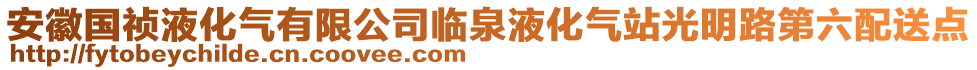 安徽國禎液化氣有限公司臨泉液化氣站光明路第六配送點