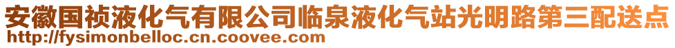 安徽國禎液化氣有限公司臨泉液化氣站光明路第三配送點