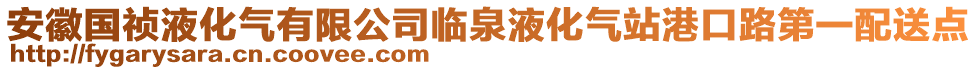 安徽國禎液化氣有限公司臨泉液化氣站港口路第一配送點